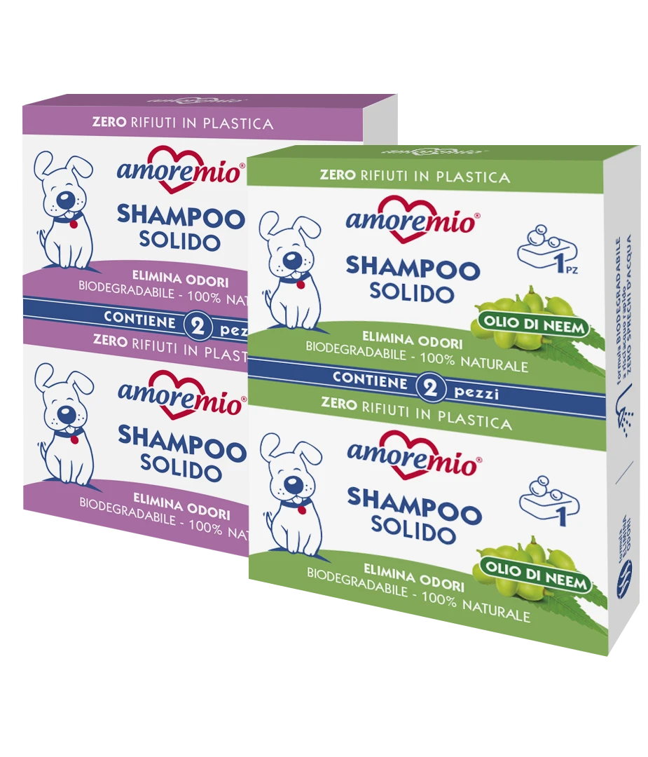 SHAMPOO SOLIDO